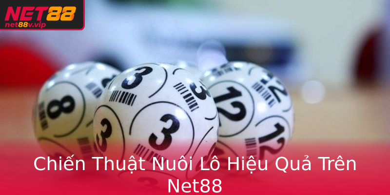 Chiến Thuật Nuôi Lô Hiệu Quả Trên Net88