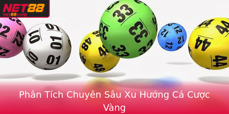 Phân Tích Chuyên Sâu Xu Hướng Cá Cược Vàng